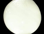 Star White 54 (C3-54)